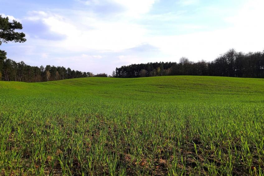 "Ferienhaus GolczaVita" - foto 27