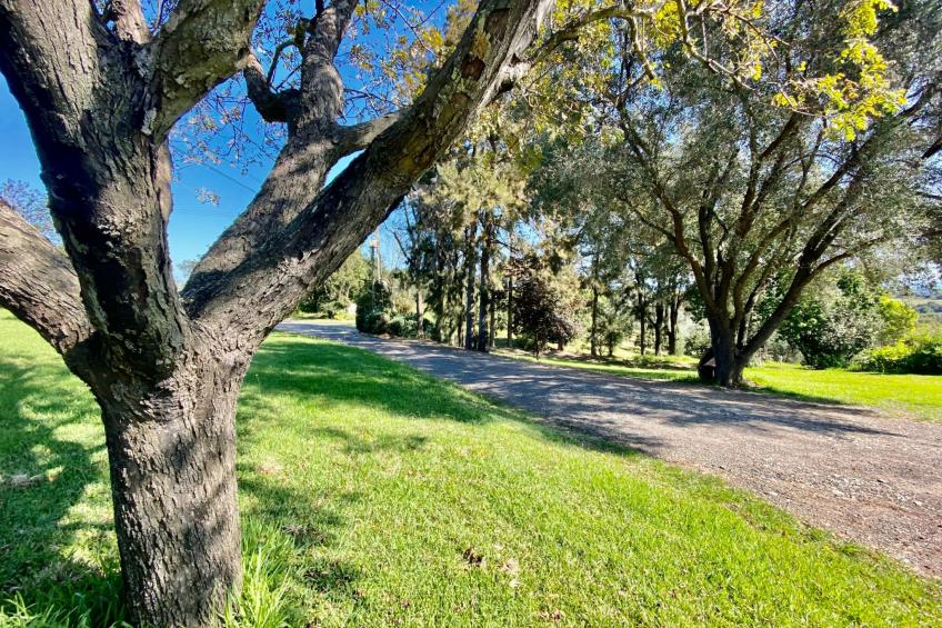 Weingut Punta della Guardia Panorama von Macchia und Meer - foto 17