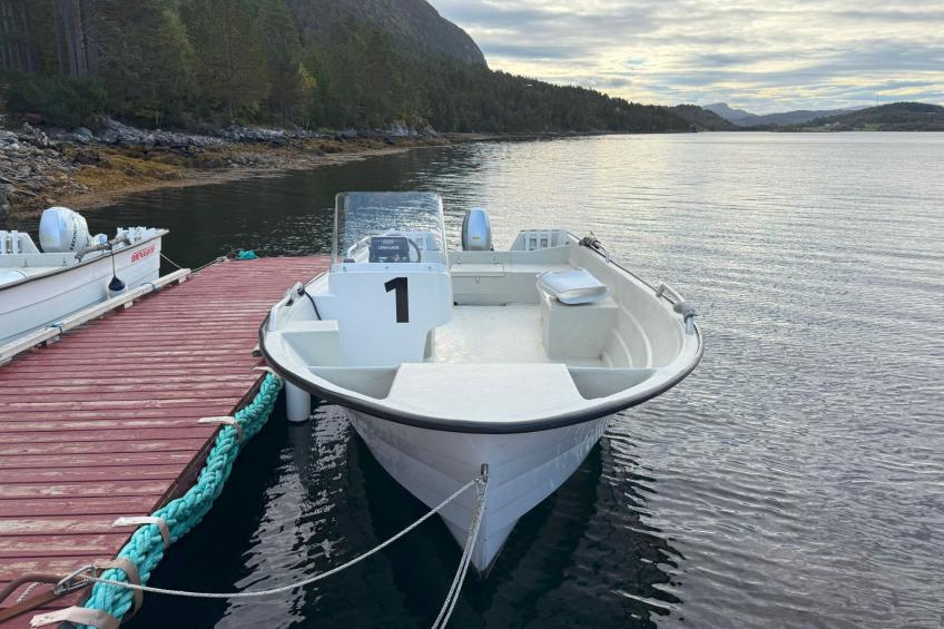 Stabben Blue House - foto 29