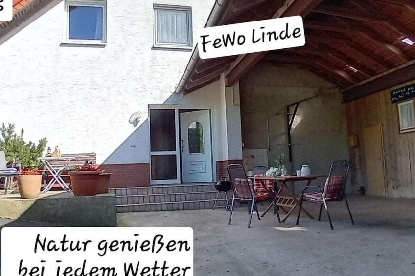 57823 - foto 3