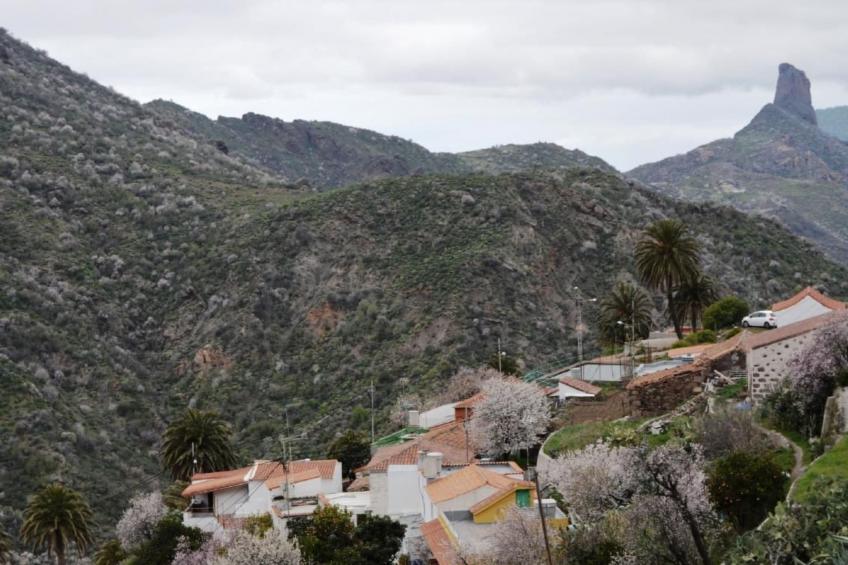 Landhaus Pepita la de las flores - foto 32