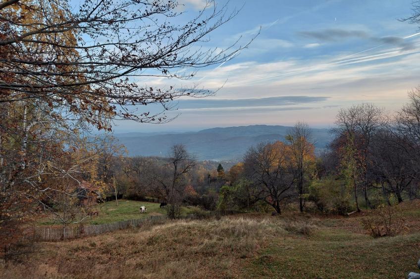 Berghütte "Pumbaa House" mit eigenem 'Pool' - foto 26