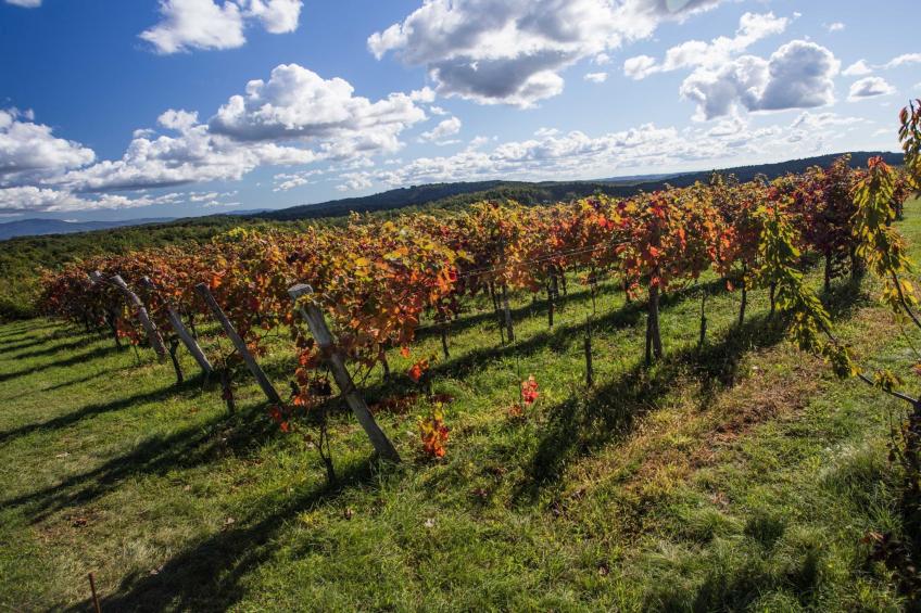 Abitanti Rustic Apartment with Balcony - Two Bedroom Apartment with Balcony - foto 17