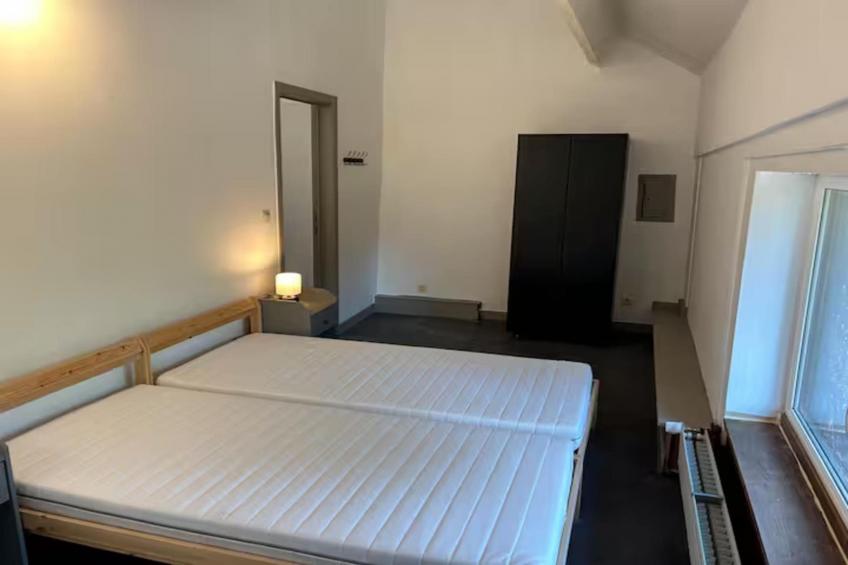 L'Ecureuil Blanc - foto 29