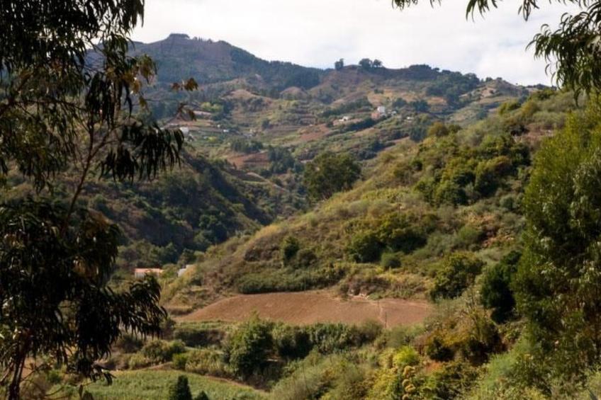 "El Laurel" - foto 5