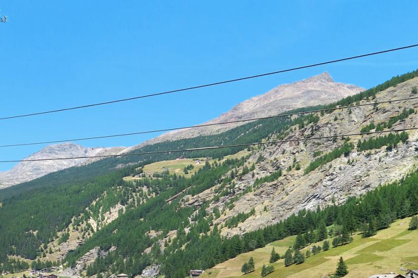 Wiedersehen - foto 25