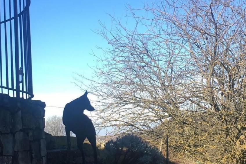 Piccola casa romantica - foto 46