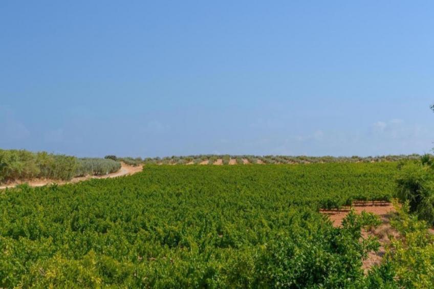 piso confortable en Montilla - foto 19