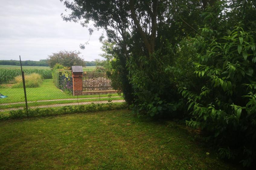 Landurlaub Mecklenburgische Seenplatte b. Waren Müritz - foto 22