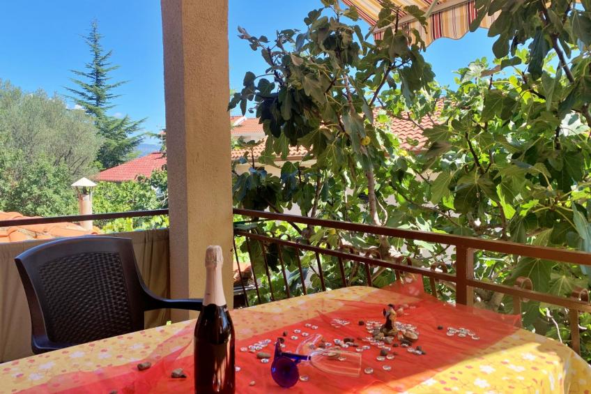 Apartment Santic - foto 10