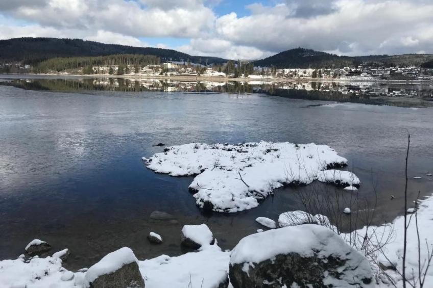 Schluchseehuus - foto 15