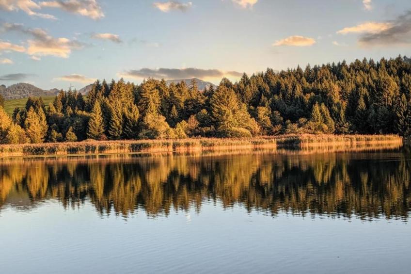 Haus Bergblick - foto 38