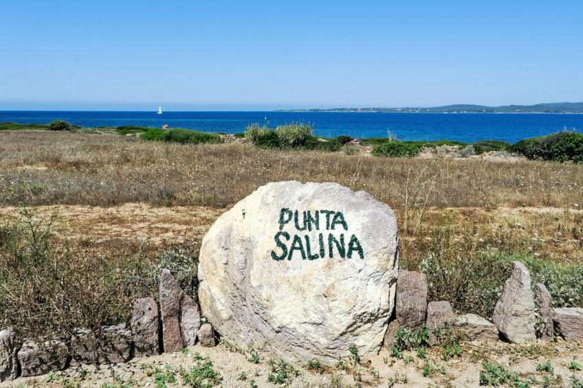 Salina - Elicriso - foto 20