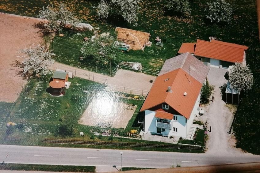 482294 - foto 10