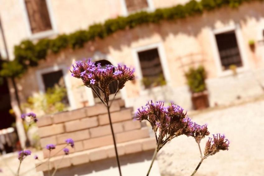 Das Landgut "Corte Canale Virgilio" mit Balkon - foto 47