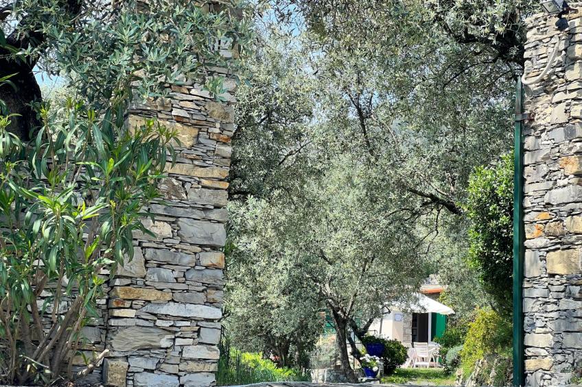 Gemütliche, helle Ferienwohnung Leda - foto 18