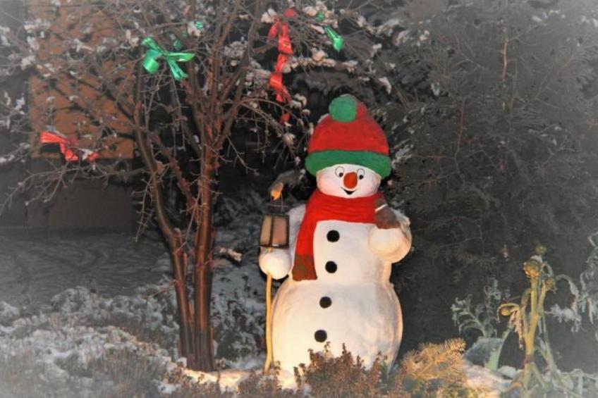 mit Fasssauna - foto 18