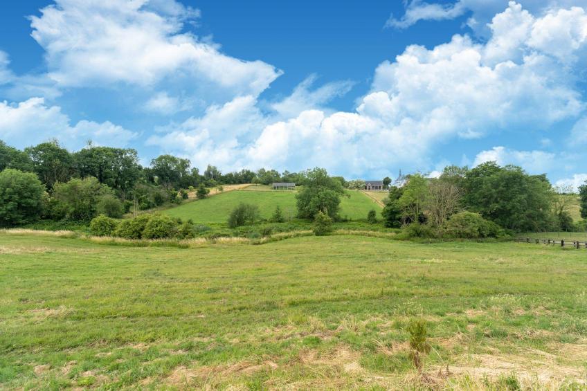 Huis Dries - foto 34