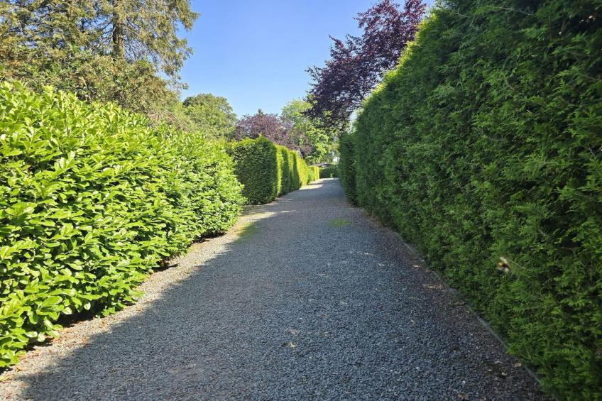 De Veluwse Eekhoorn - foto 38