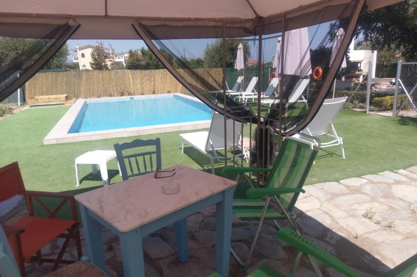 neben Orangenbaum-Obstgarten - foto 35