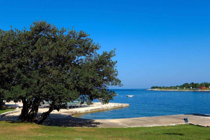 Stacaravan Park Umag - VW-ZTN5 - foto 36