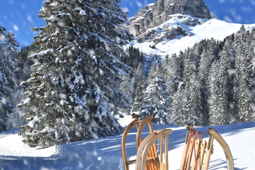 The Holiday Home Davos - foto 23