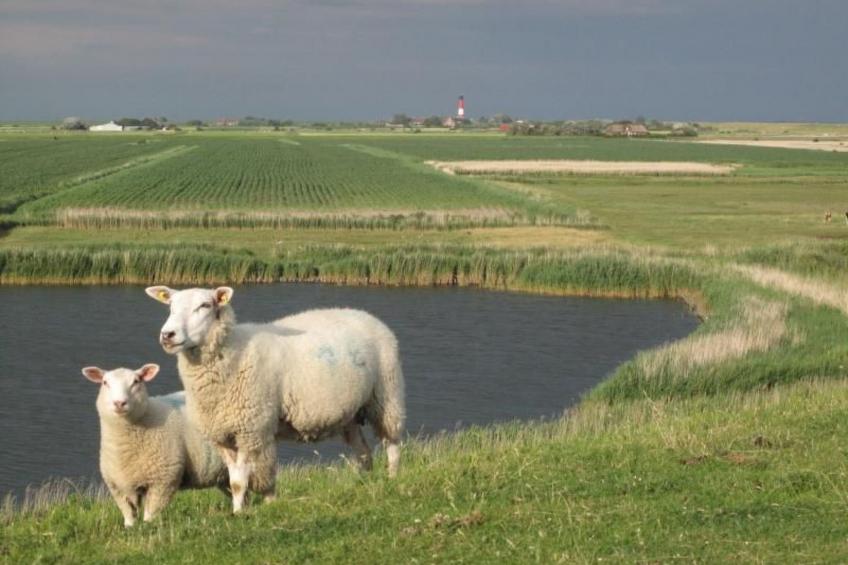 mit Terrasse - foto 26