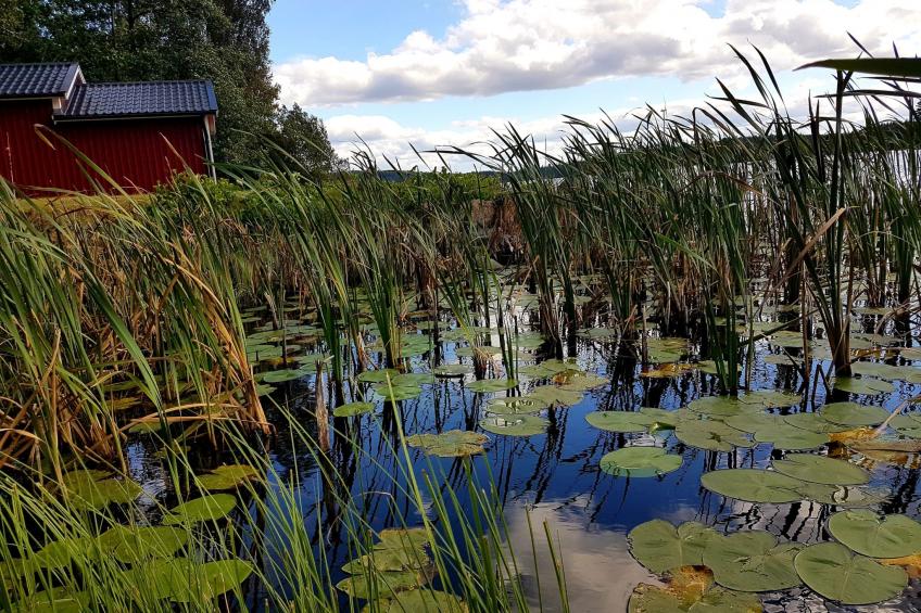 Särskilda - foto 49