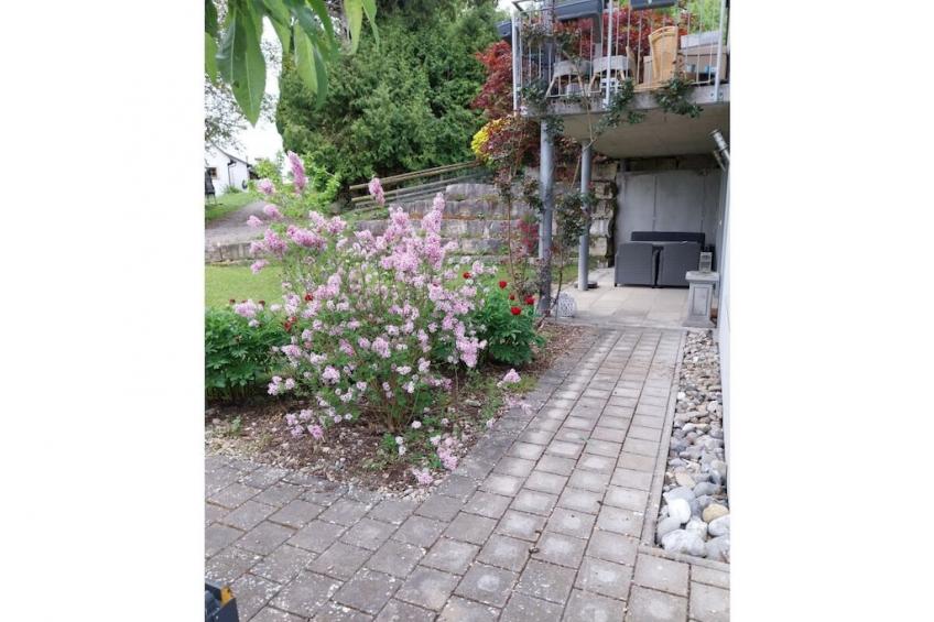 790372 - foto 11