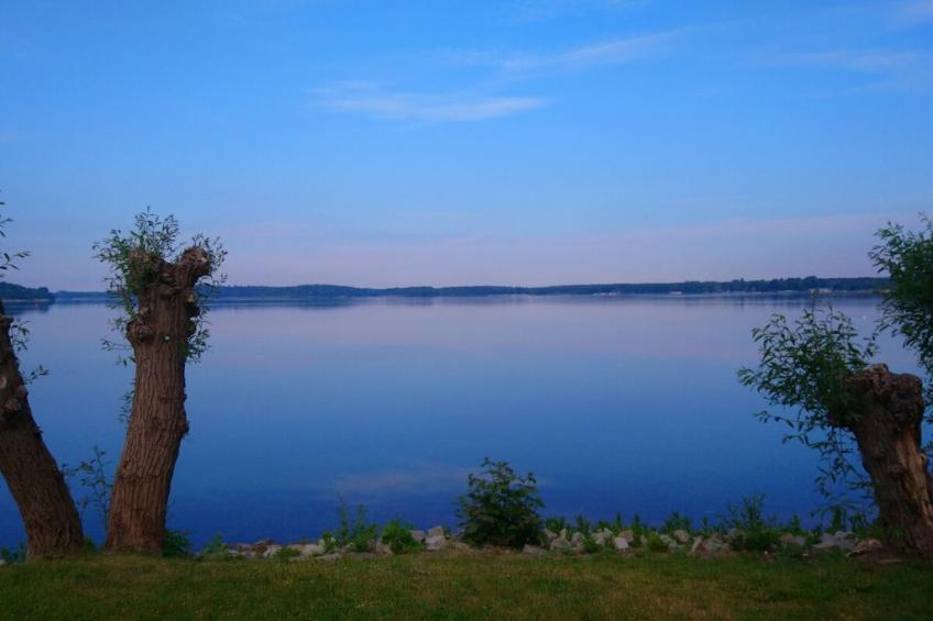 12514 - foto 29