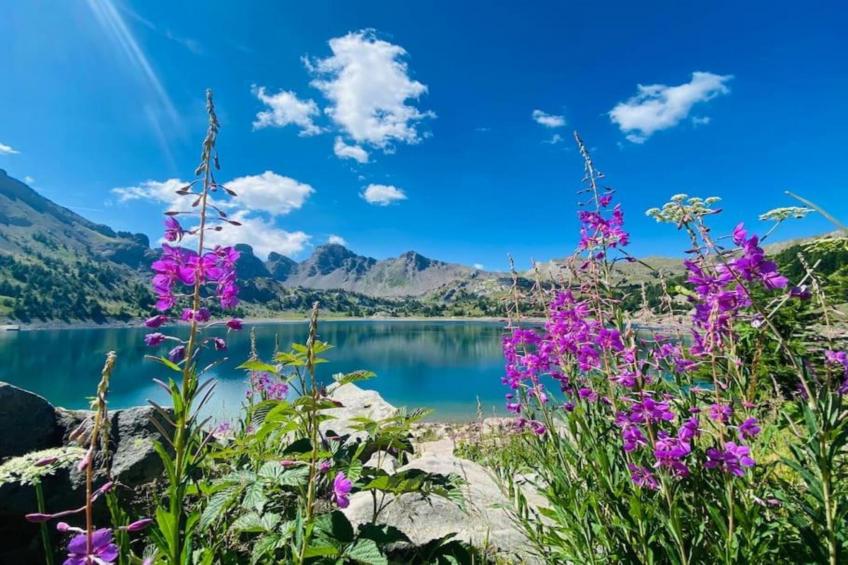 Les Marmottes N°14 - ST4 - foto 12