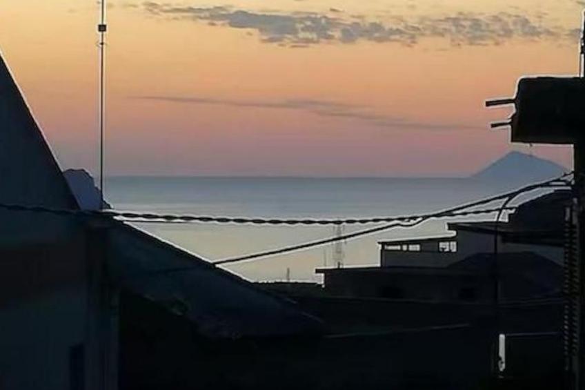 'The Garden - foto 26