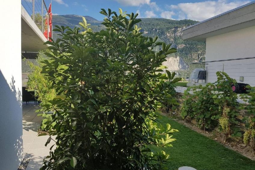 Guesthouse Petit Pré Appartement INSPIRATION - foto 12