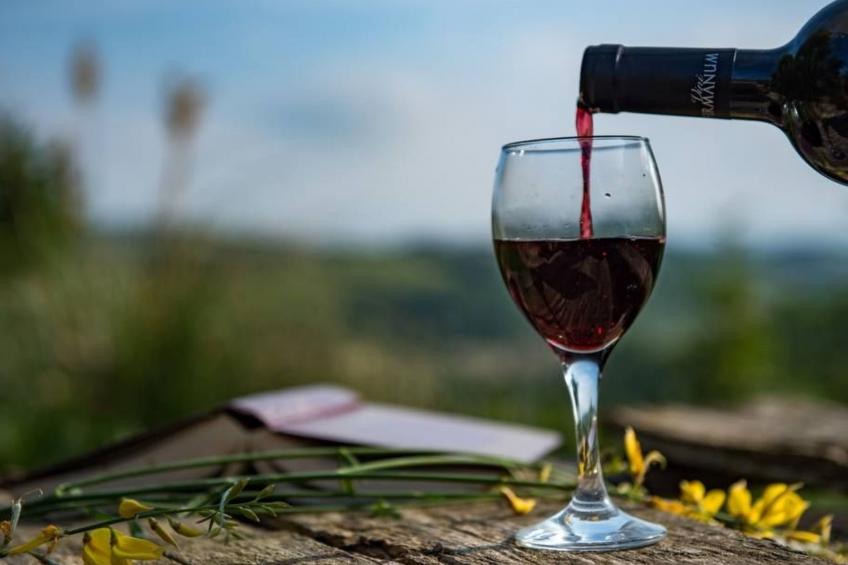 Villa mit Pool für 29 Personen ca. 800 m2 - foto 20