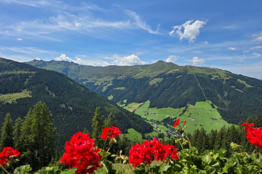 EAGGA-Niederleger Alm - foto 36
