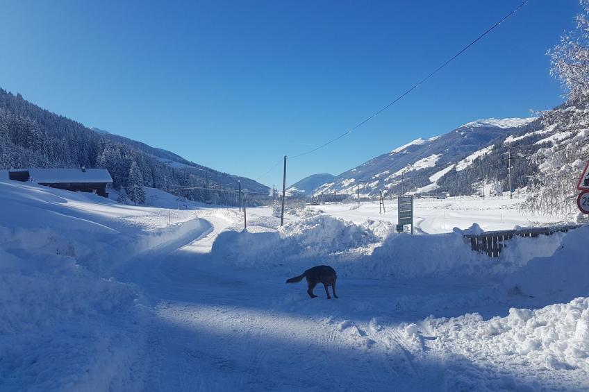 in Strassen mit Privatem Pool - foto 41