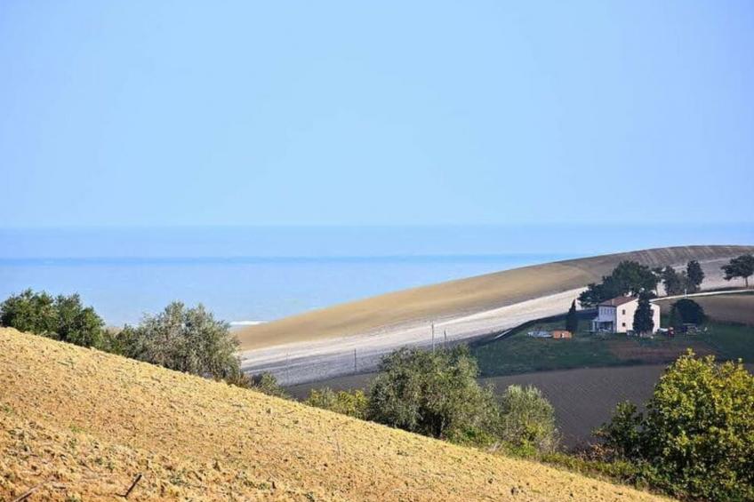 Villa Clair - foto 16