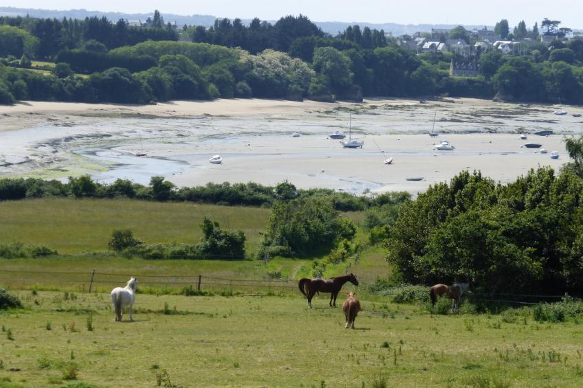 Dupleix dans un jardin bucolique à Saint Briac sur Mer - foto 9