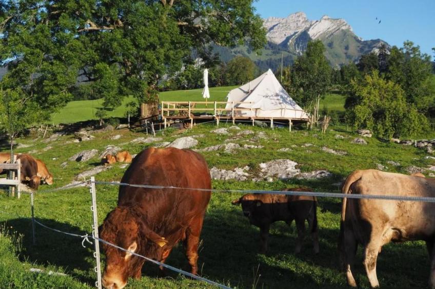 Zeltferien Into the Wäid "Zelt unter der Esche" - foto 5