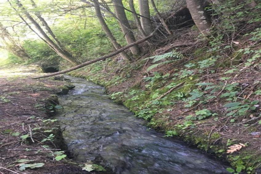 Fontanettaz V 014 - MOUNTAIN apartment 4 pers - foto 26