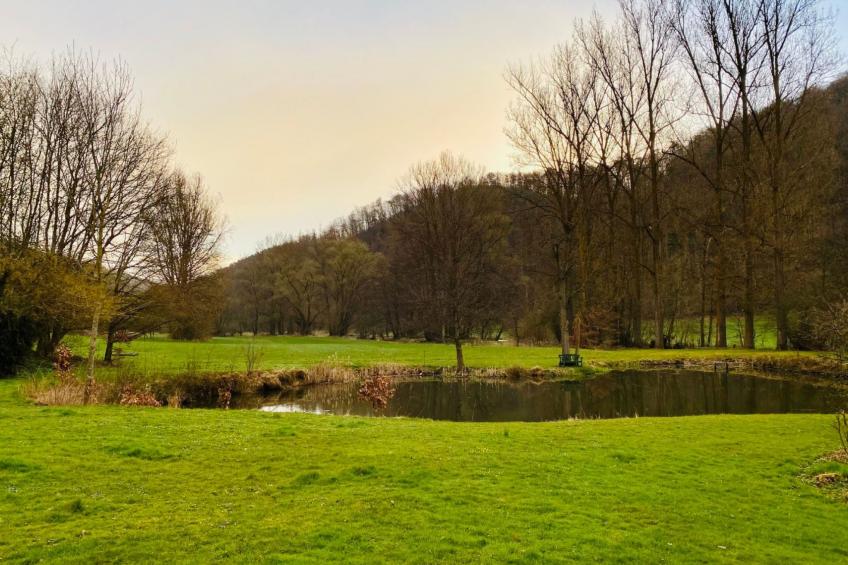 Komfortables Ferienhaus in purer Natur - foto 46