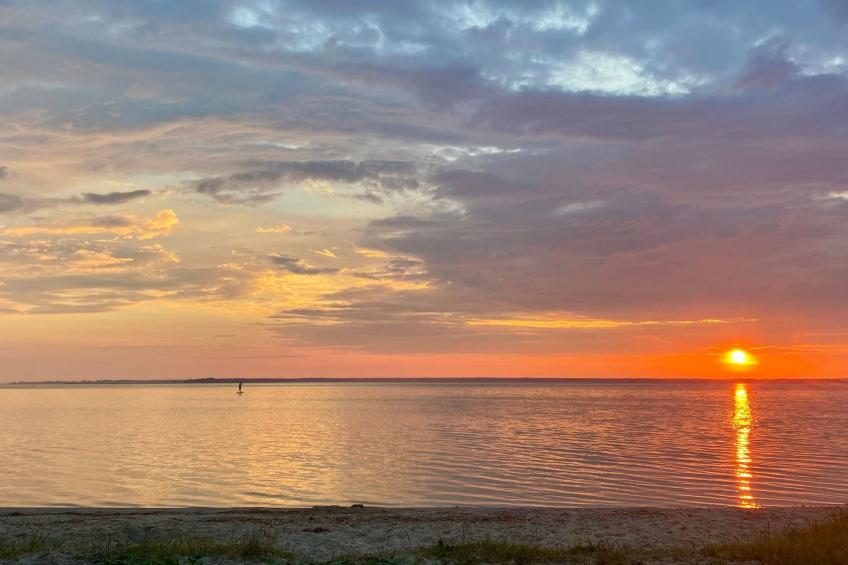 Wiesenblick 6 - foto 22