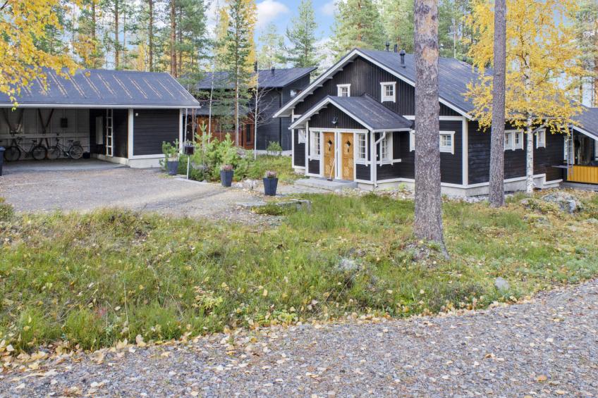 Koli, koliwood a - foto 49