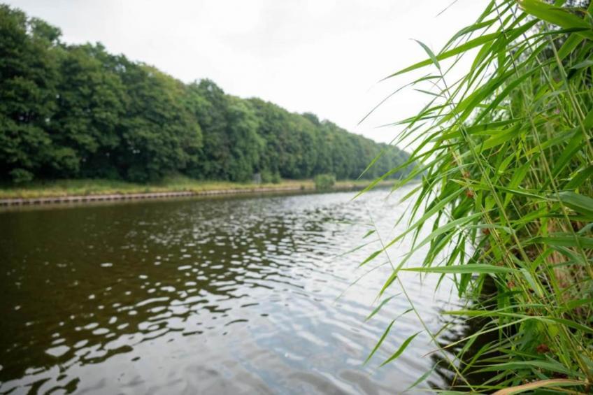 Vakantiepark De Lochemse Berg 1 - foto 16