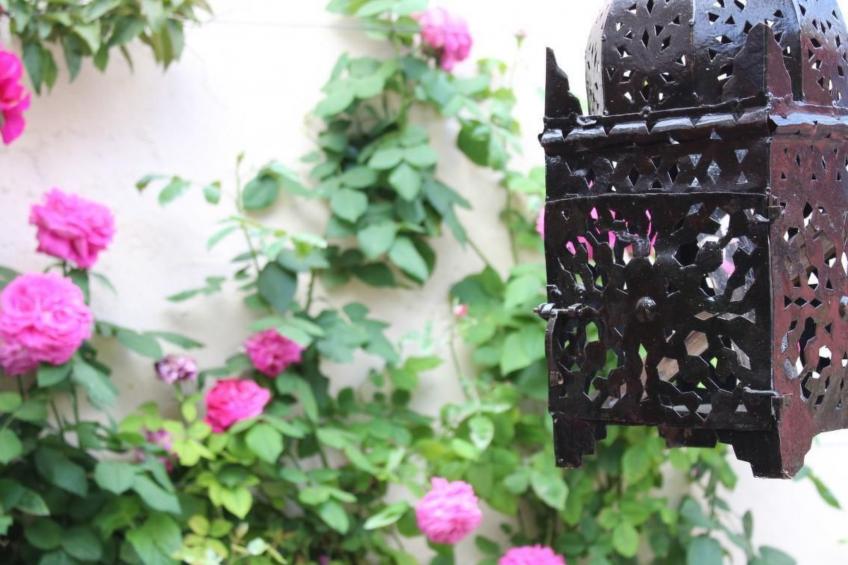 Casa Magdalena, Fincahaus, Hund erlaubt, Pool - foto 2