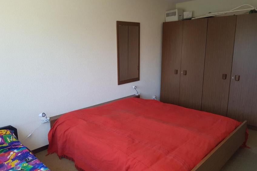 Steinadler - foto 10