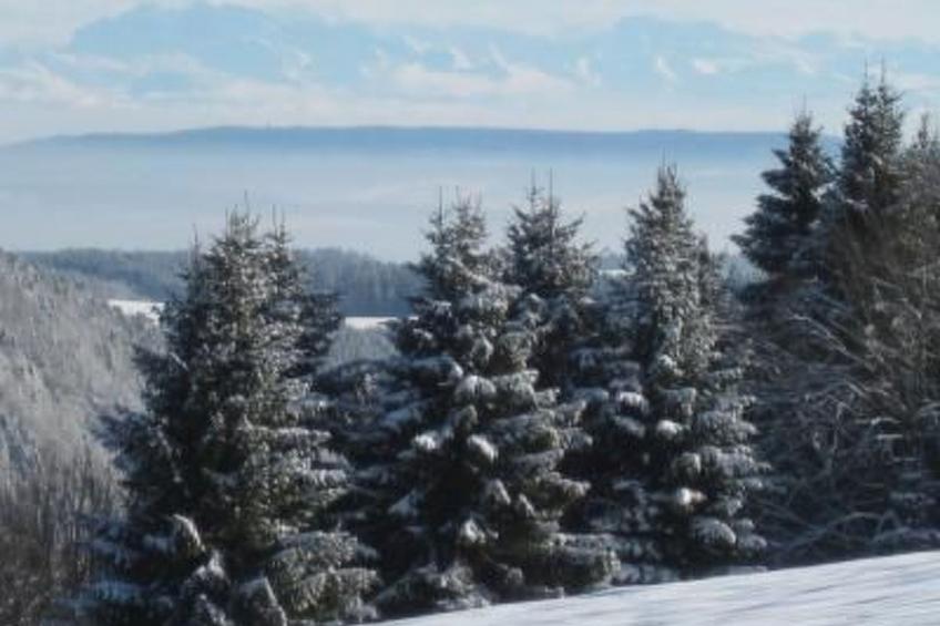 Wohnung "Fübüüni" - foto 35