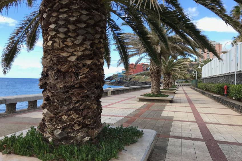 mit Blick auf das Wasser - foto 3