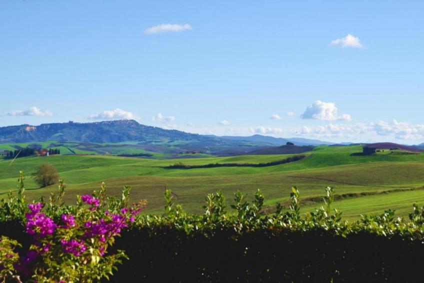 San Francesco Sangiovese - foto 37