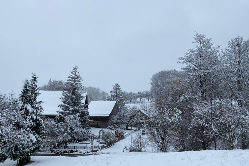 Ferien im Baudenkmal Mühle - foto 10